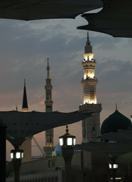 الدليل الى السنة 